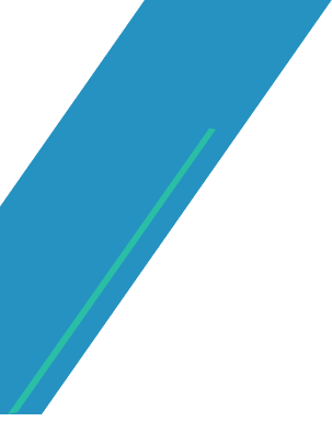 drivschol